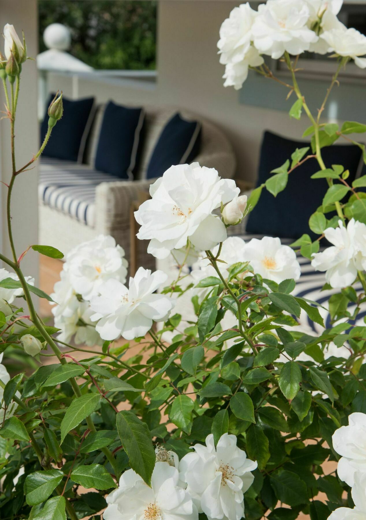 The Light House Boutique Suites Paarl Εξωτερικό φωτογραφία
